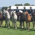 Festival Internacional do Cavalo Lusitano 2015