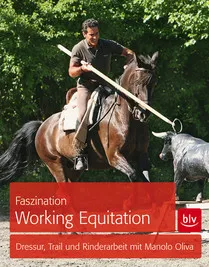 Faszination Working Equitation