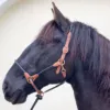Lederhalfter zweifarbig